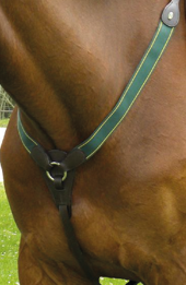 PECHERA PARA CABALLO